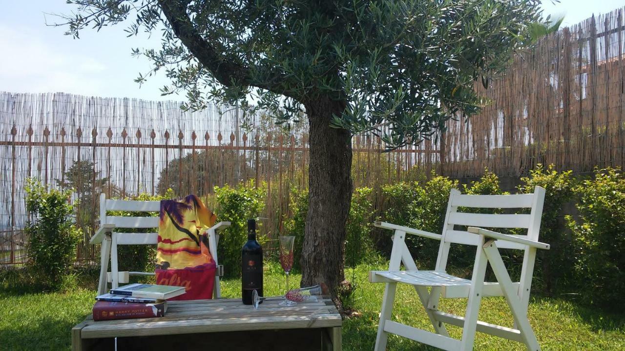 דירות זפראנה אטניאה Etna Winery מראה חיצוני תמונה